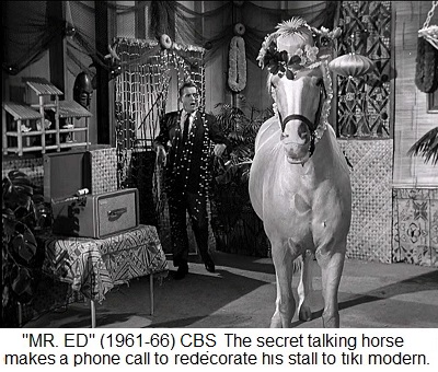 MR ED